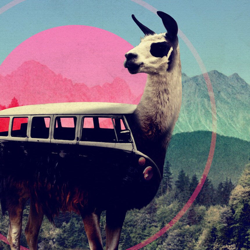 Llama Art Print, Funny Animal Wall Art, Hippie Adventure Poster, Animal Art Home Decor Gift, Llama Bus Travel Art, Illustration By Ali Gulec