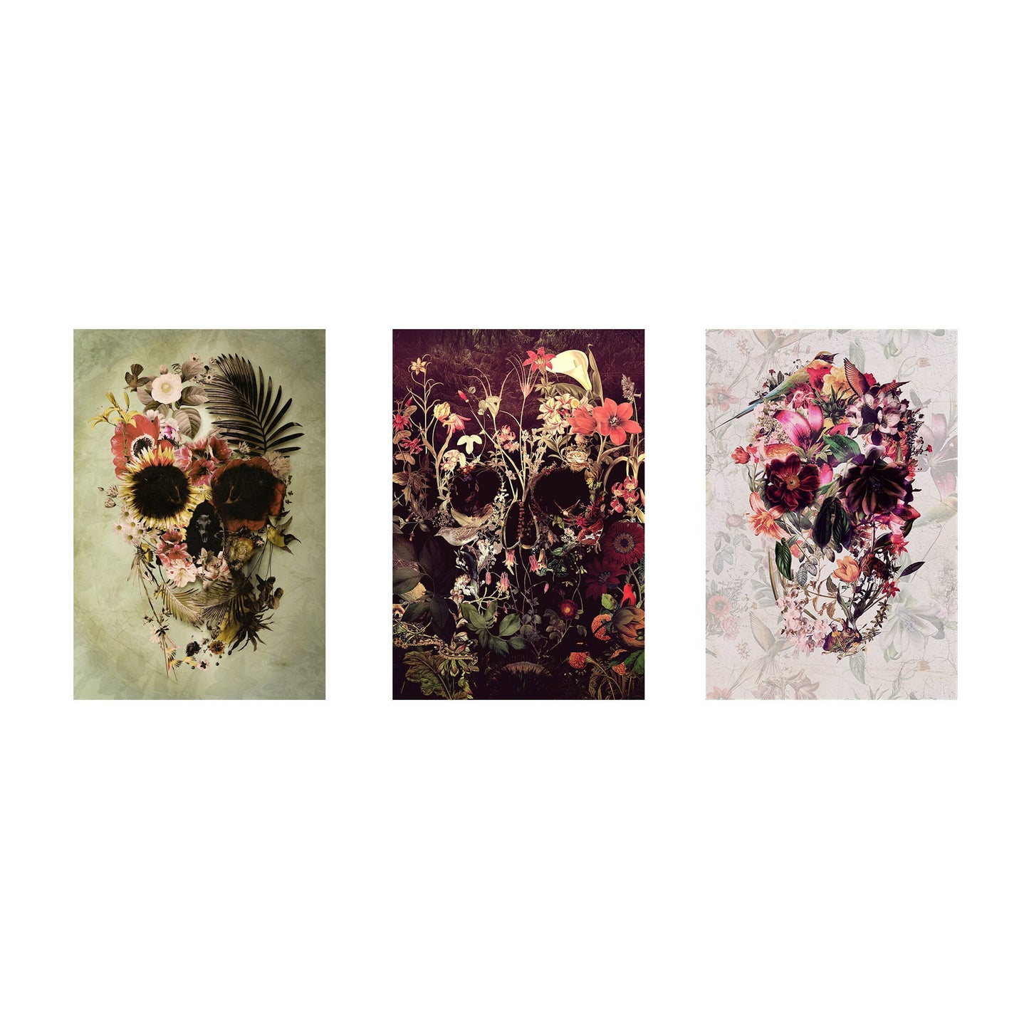 Set Of 3 Flower Skull, Nature Skull Set Home Decor, Gothic Skull Poster Set, Sugar Skull Wall Art Gift, Floral Skull Art Prints By Ali Gulec